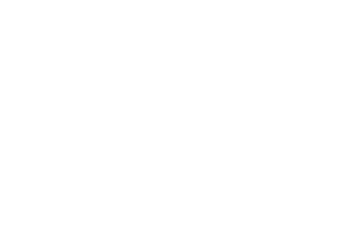 logobindalegnapellet-verticale-bianco